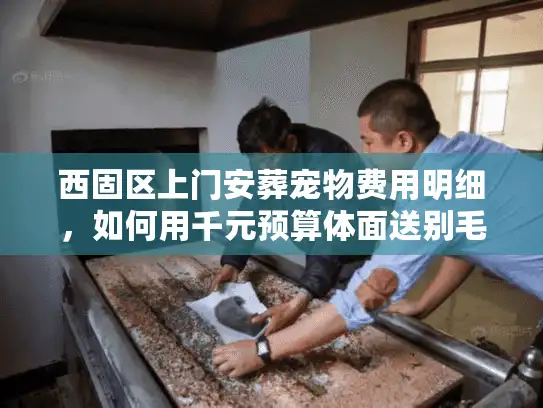 西固区上门安葬宠物费用明细，如何用千元预算体面送别毛孩子？