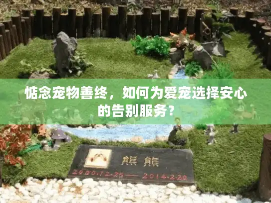 惦念宠物善终，如何为爱宠选择安心的告别服务？