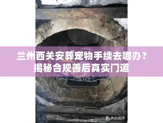 兰州西关安葬宠物手续去哪办？揭秘合规善后真实门道