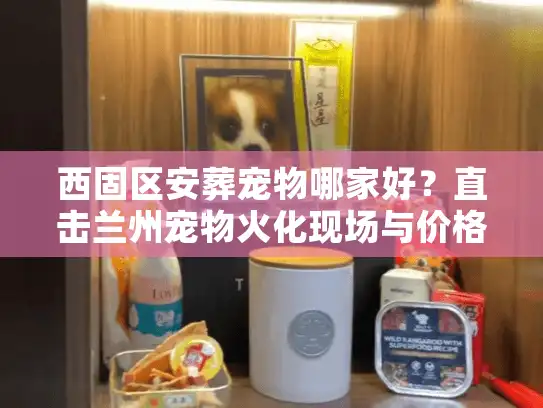 西固区安葬宠物哪家好？直击兰州宠物火化现场与价格真相
