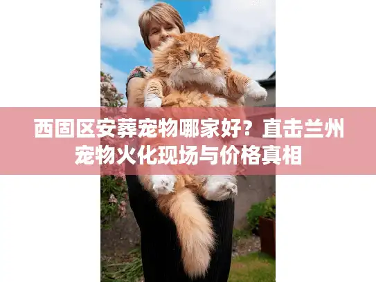西固区安葬宠物哪家好？直击兰州宠物火化现场与价格真相
