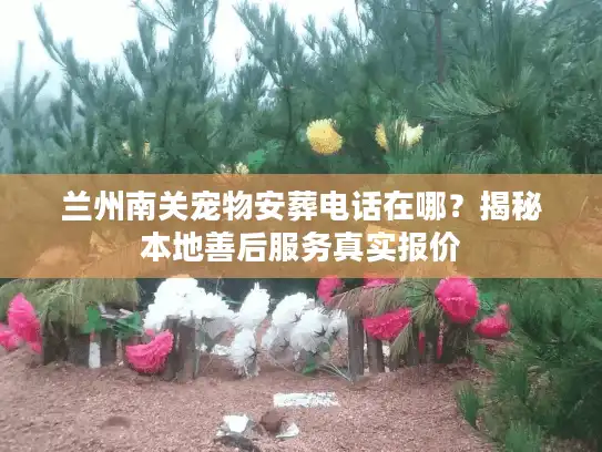 兰州南关宠物安葬电话在哪？揭秘本地善后服务真实报价