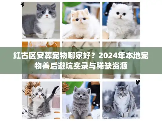 红古区安葬宠物哪家好？2024年本地宠物善后避坑实录与稀缺资源