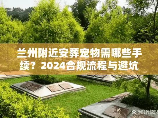 兰州附近安葬宠物需哪些手续？2024合规流程与避坑细节