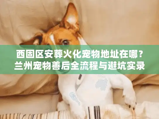西固区安葬火化宠物地址在哪？兰州宠物善后全流程与避坑实录
