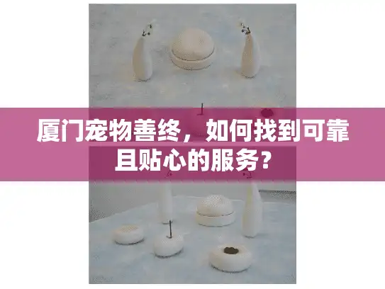 厦门宠物善终，如何找到可靠且贴心的服务？