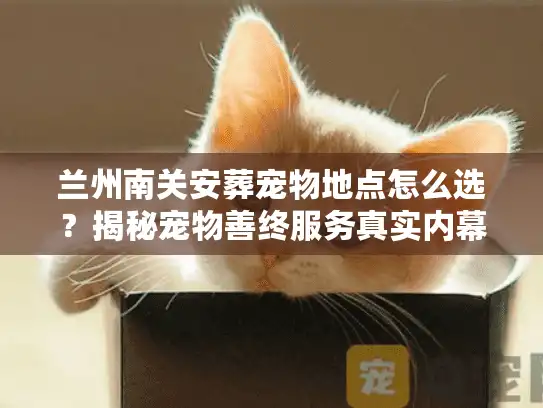 兰州南关安葬宠物地点怎么选？揭秘宠物善终服务真实内幕