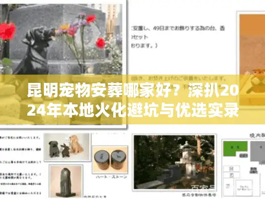 昆明宠物安葬哪家好？深扒2024年本地火化避坑与优选实录