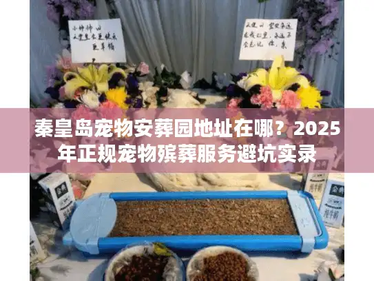 秦皇岛宠物安葬园地址在哪？2025年正规宠物殡葬服务避坑实录