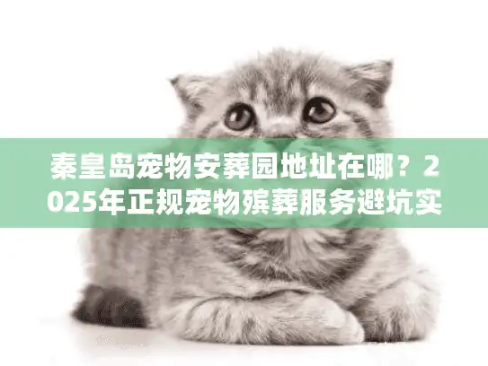 秦皇岛宠物安葬园地址在哪？2025年正规宠物殡葬服务避坑实录