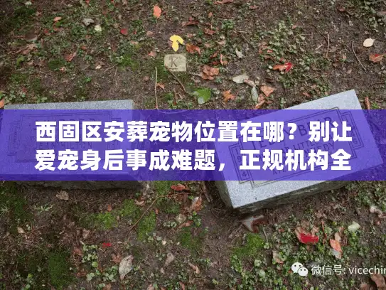 西固区安葬宠物位置在哪？别让爱宠身后事成难题，正规机构全解析