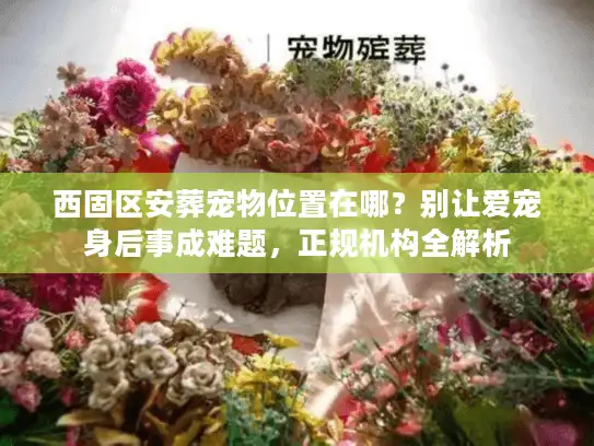 西固区安葬宠物位置在哪？别让爱宠身后事成难题，正规机构全解析