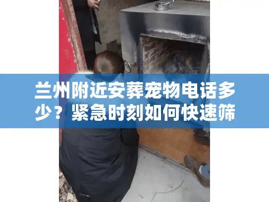 兰州附近安葬宠物电话多少？紧急时刻如何快速筛选正规火化机构