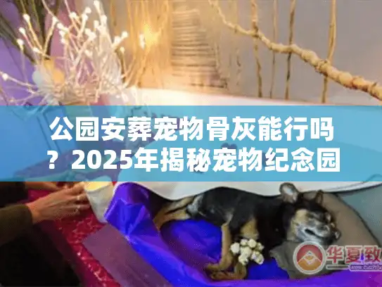 公园安葬宠物骨灰能行吗？2025年揭秘宠物纪念园合法安葬内幕