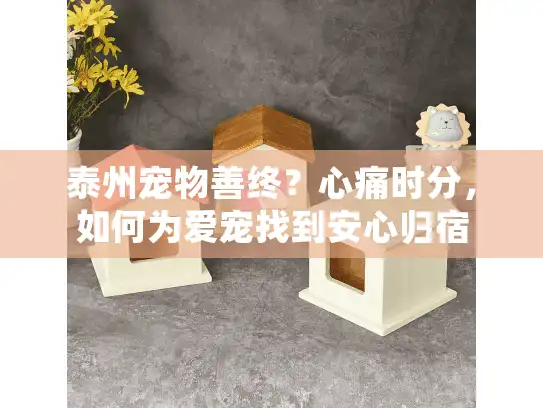 泰州宠物善终？心痛时分，如何为爱宠找到安心归宿
