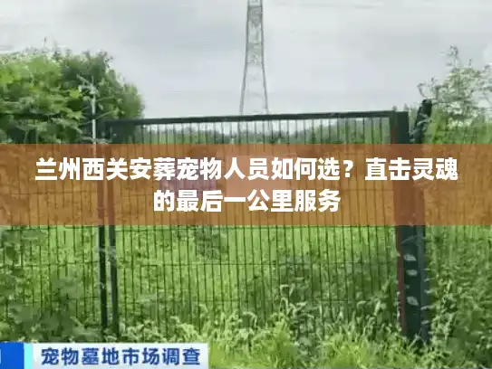 兰州西关安葬宠物人员如何选？直击灵魂的最后一公里服务
