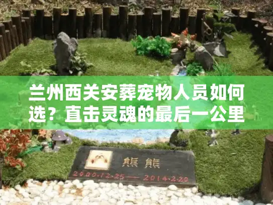兰州西关安葬宠物人员如何选？直击灵魂的最后一公里服务