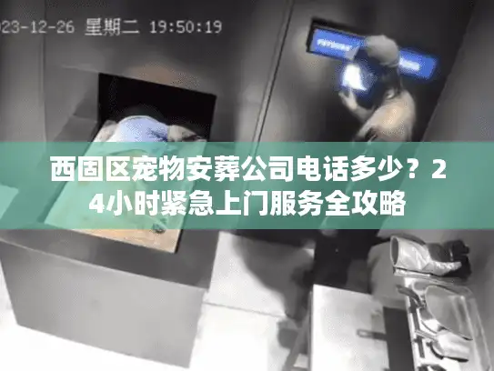 西固区宠物安葬公司电话多少？24小时紧急上门服务全攻略