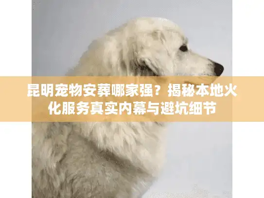 昆明宠物安葬哪家强？揭秘本地火化服务真实内幕与避坑细节