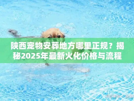 陕西宠物安葬地方哪里正规？揭秘2025年最新火化价格与流程