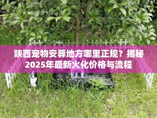 陕西宠物安葬地方哪里正规？揭秘2025年最新火化价格与流程