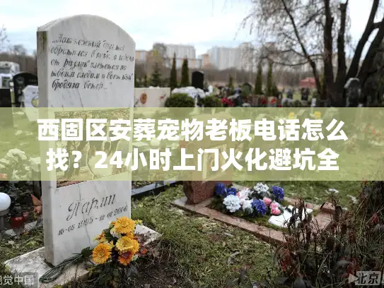 西固区安葬宠物老板电话怎么找？24小时上门火化避坑全解析