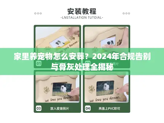 家里养宠物怎么安葬？2024年合规告别与骨灰处理全揭秘
