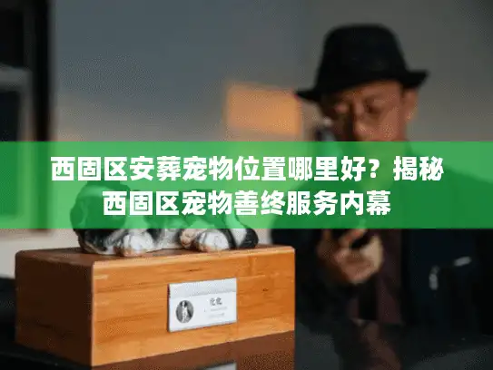 西固区安葬宠物位置哪里好？揭秘西固区宠物善终服务内幕