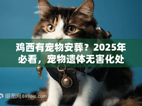 鸡西有宠物安葬？2025年必看，宠物遗体无害化处理避坑实录