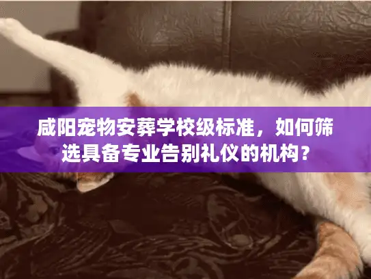 咸阳宠物安葬学校级标准，如何筛选具备专业告别礼仪的机构？