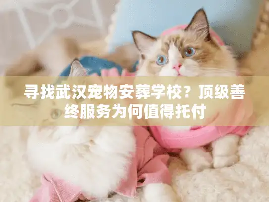 寻找武汉宠物安葬学校？顶级善终服务为何值得托付