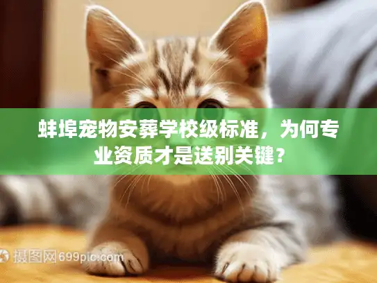 蚌埠宠物安葬学校级标准，为何专业资质才是送别关键？