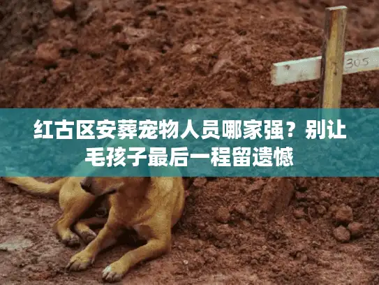 红古区安葬宠物人员哪家强？别让毛孩子最后一程留遗憾