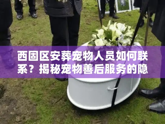 西固区安葬宠物人员如何联系？揭秘宠物善后服务的隐形门道