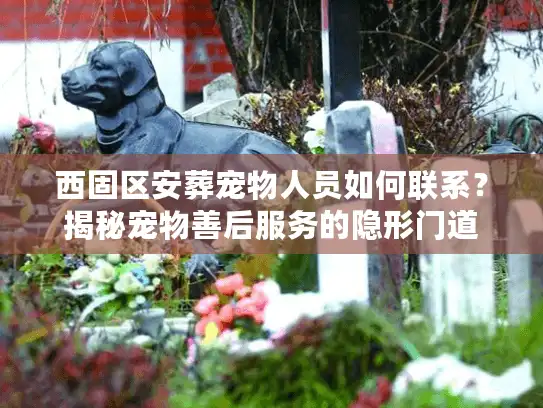 西固区安葬宠物人员如何联系？揭秘宠物善后服务的隐形门道