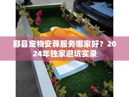 鄞县宠物安葬服务哪家好？2024年独家避坑实录