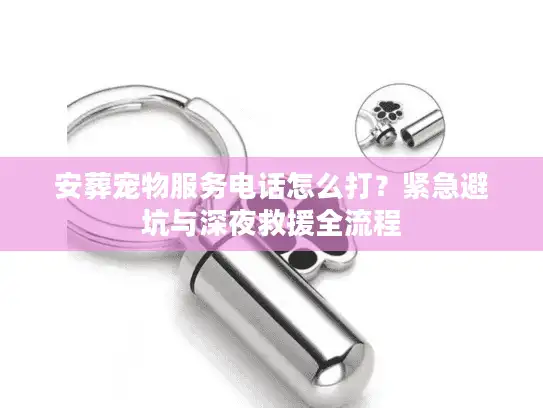 安葬宠物服务电话怎么打？紧急避坑与深夜救援全流程