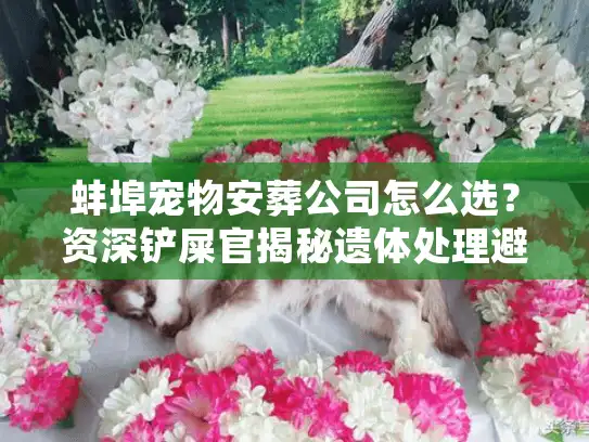 蚌埠宠物安葬公司怎么选？资深铲屎官揭秘遗体处理避坑实录