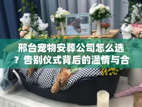 邢台宠物安葬公司怎么选？告别仪式背后的温情与合规细节