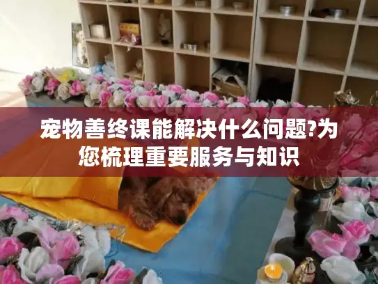 宠物善终课能解决什么问题?为您梳理重要服务与知识