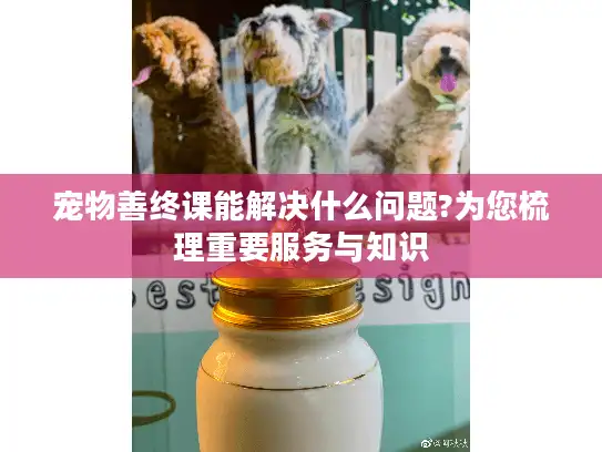 宠物善终课能解决什么问题?为您梳理重要服务与知识