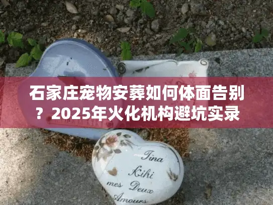石家庄宠物安葬如何体面告别？2025年火化机构避坑实录