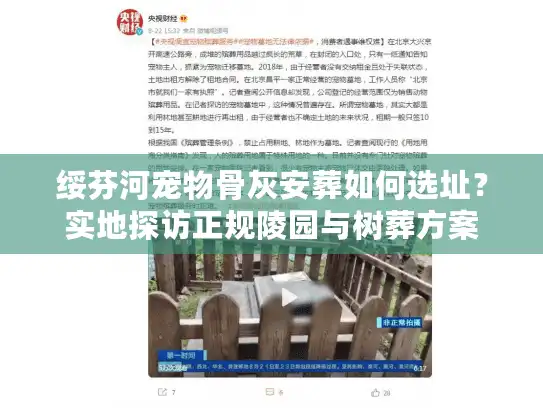绥芬河宠物骨灰安葬如何选址？实地探访正规陵园与树葬方案