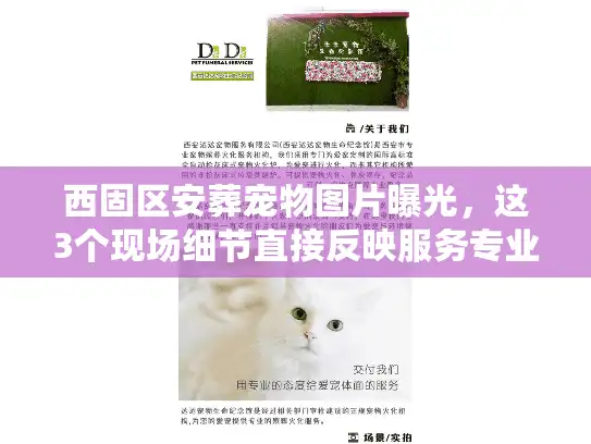 西固区安葬宠物图片曝光，这3个现场细节直接反映服务专业度