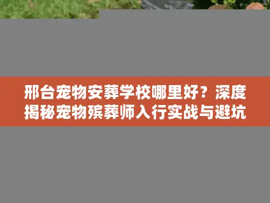 邢台宠物安葬学校哪里好？深度揭秘宠物殡葬师入行实战与避坑内幕
