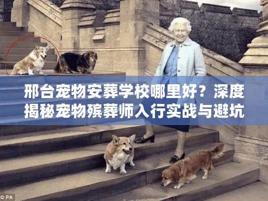 邢台宠物安葬学校哪里好？深度揭秘宠物殡葬师入行实战与避坑内幕