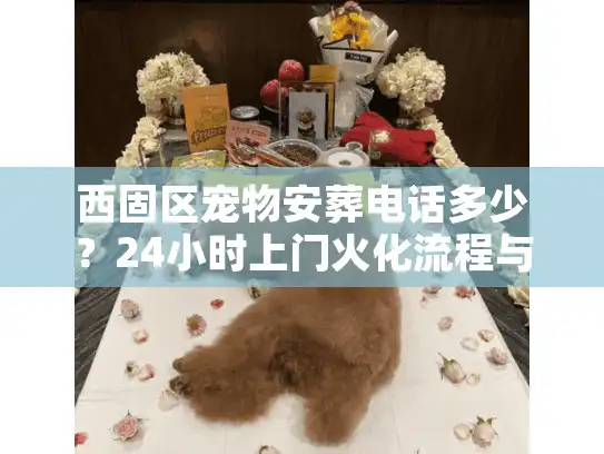 西固区宠物安葬电话多少？24小时上门火化流程与价格揭秘