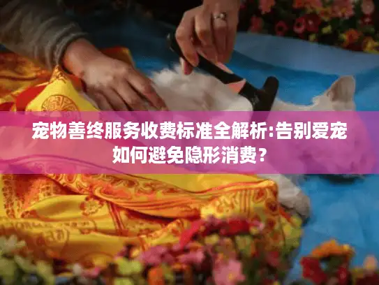 宠物善终服务收费标准全解析:告别爱宠如何避免隐形消费？