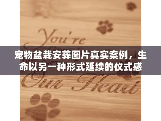 宠物盆栽安葬图片真实案例，生命以另一种形式延续的仪式感