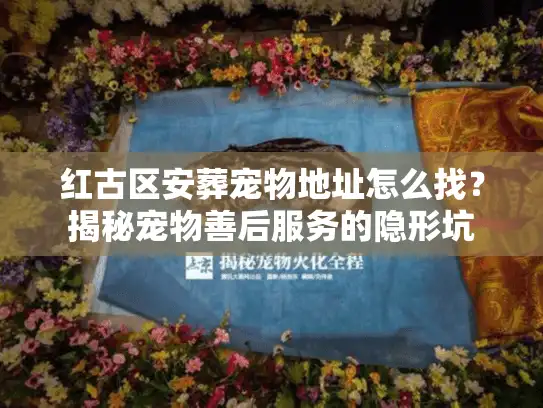 红古区安葬宠物地址怎么找？揭秘宠物善后服务的隐形坑